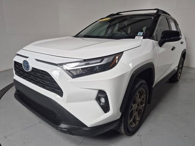 2024 Toyota RAV4 Hybrid Woodland