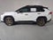 2024 Toyota RAV4 Hybrid Woodland