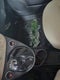 2016 FIAT 500 Easy