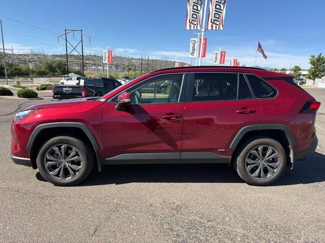 2025 Toyota RAV4 Hybrid XLE Premium